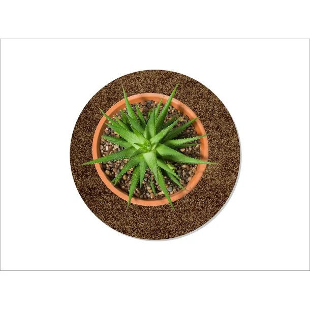 Flora Mtte fra keilbach