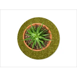 Flora Mtte fra keilbach