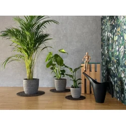 Flora Mtte fra keilbach