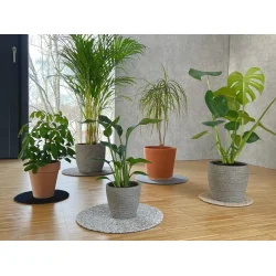 Flora Mtte fra keilbach