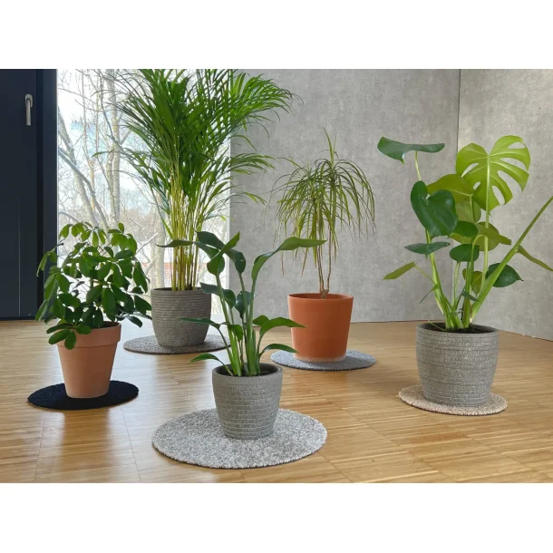 Flora Mtte fra keilbach