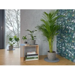 Flora Mtte fra keilbach