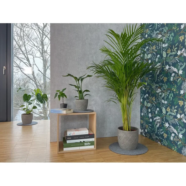 Flora Mtte fra keilbach