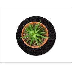 Flora Mtte fra keilbach