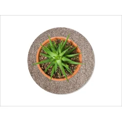 Flora Mtte fra keilbach