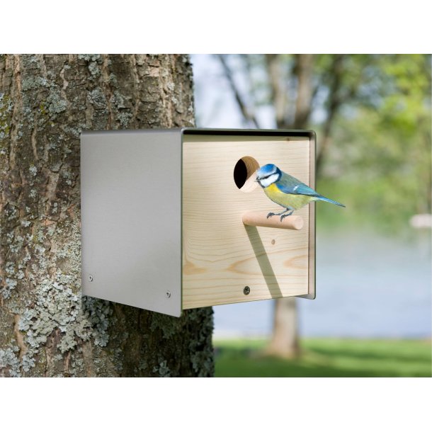 Twitter Fuglehus - Cortenstl