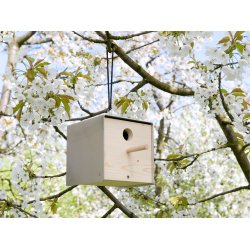 Twitter Fuglehus - Cortenstl