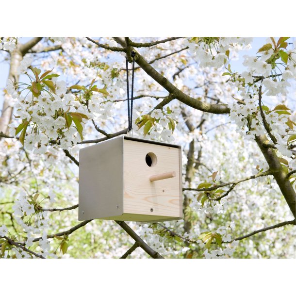 Twitter Fuglehus - Cortenstl